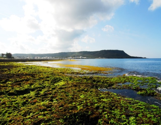 台灣潮間帶旅遊 台灣潮間帶旅遊