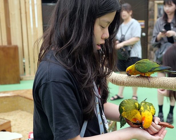 宜蘭室內動物園 宜蘭室內動物園