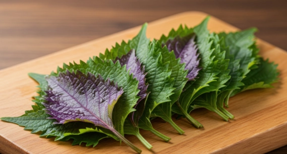 紫蘇葉經痛 紫蘇葉經痛