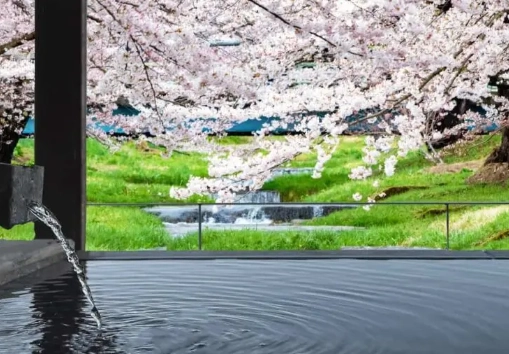 櫻花溫泉住宿 櫻花溫泉住宿