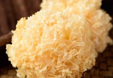 雪耳食用方法 雪耳食用方法