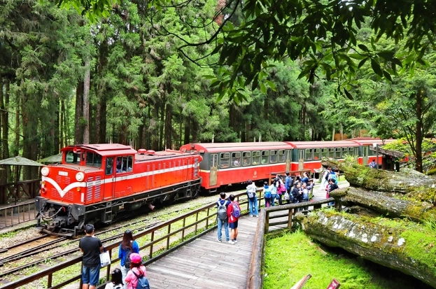 阿里山自駕 阿里山自駕