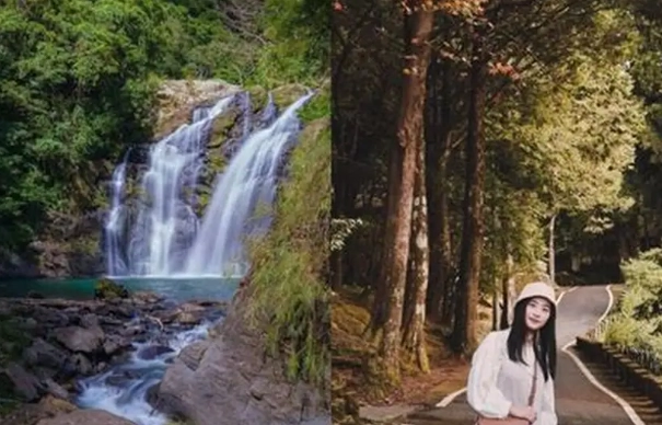 森林遊樂區攻略 森林遊樂區攻略