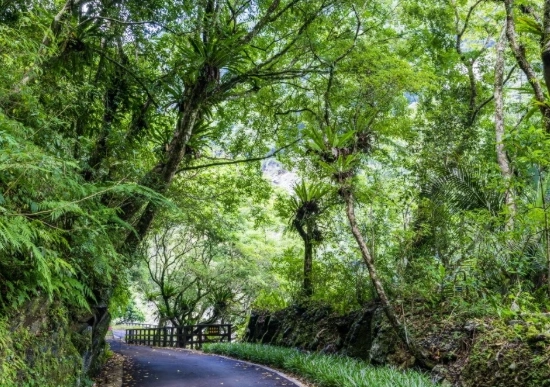 台灣森林遊樂區 台灣森林遊樂區
