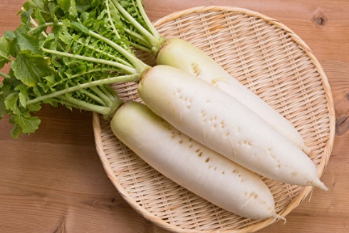 白蘿蔔副作用 白蘿蔔副作用