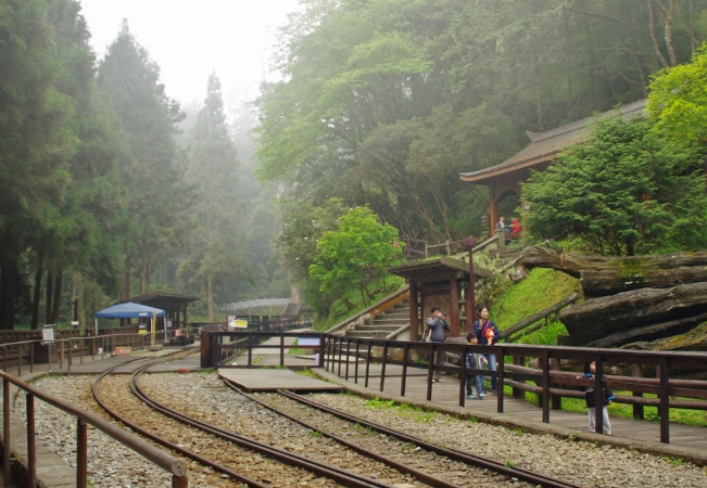 阿里山森林遊樂區交通 阿里山森林遊樂區交通