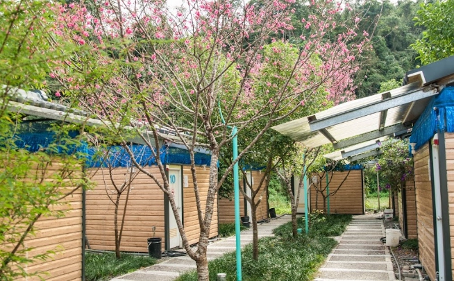 大同櫻花溫泉旅遊 大同櫻花溫泉旅遊