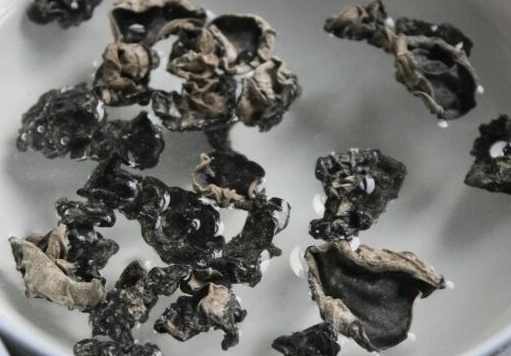 木耳泡發後能放幾天