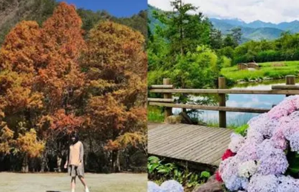 台灣森林遊樂區 台灣森林遊樂區