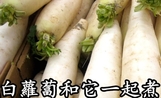 白蘿蔔為什麼苦 白蘿蔔為什麼苦