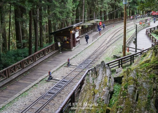 阿里山交通攻略 阿里山交通攻略