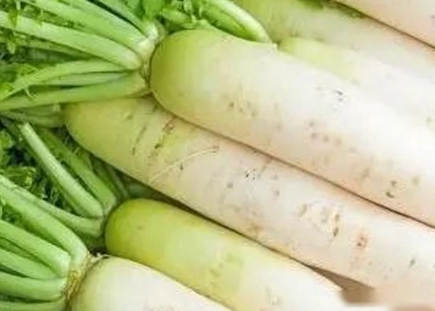 誰不能吃白蘿蔔 誰不能吃白蘿蔔