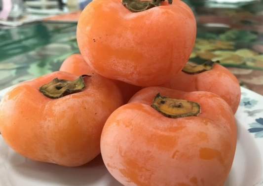 硬柿子變軟技巧 硬柿子變軟技巧