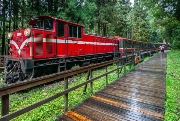 阿里山森林遊樂區交通 阿里山森林遊樂區交通