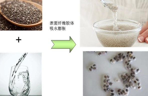 奇亞籽果汁機 奇亞籽果汁機