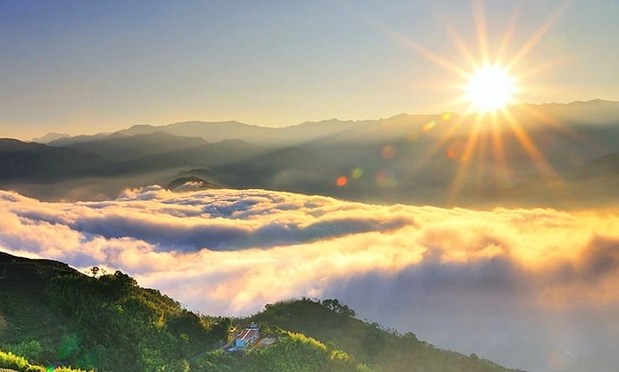 阿里山森林遊樂區導覽 阿里山森林遊樂區導覽