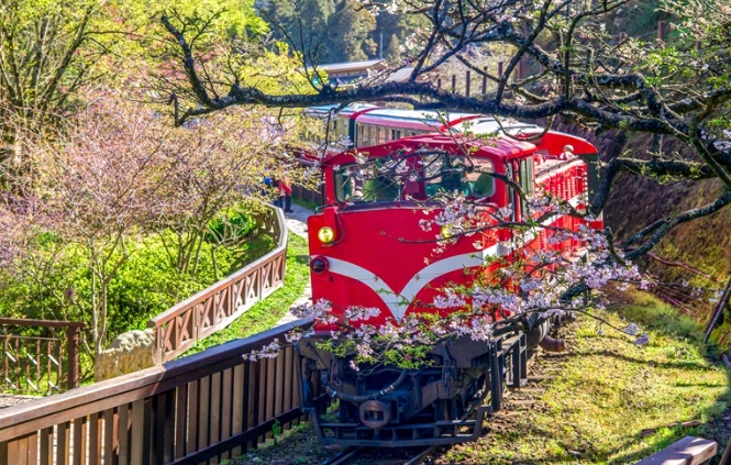 阿里山交通指南 阿里山交通指南