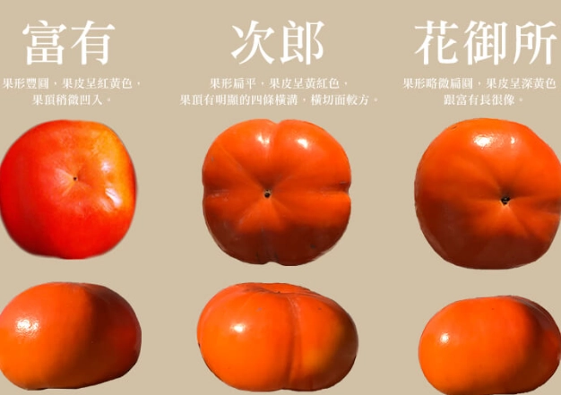 柿子品種比較 柿子品種比較