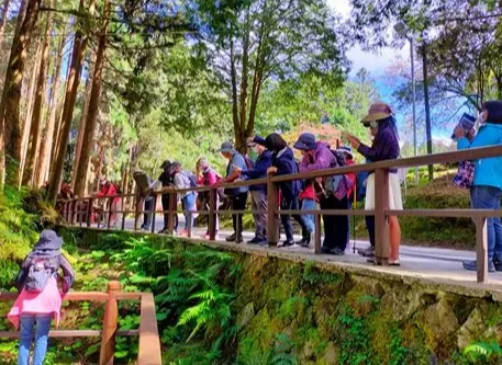 阿里山導覽服務 阿里山導覽服務