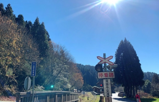 阿里山森林遊樂區門票