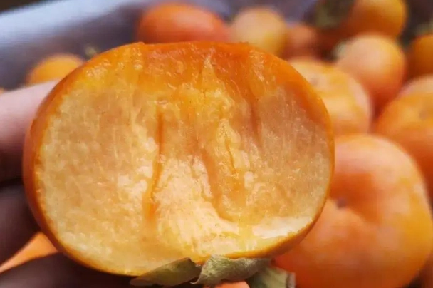 柿子催熟方法 柿子催熟方法