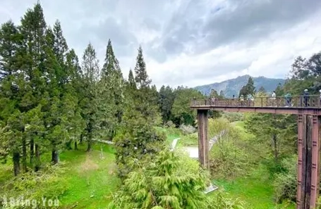 阿里山森林遊樂區交通 阿里山森林遊樂區交通