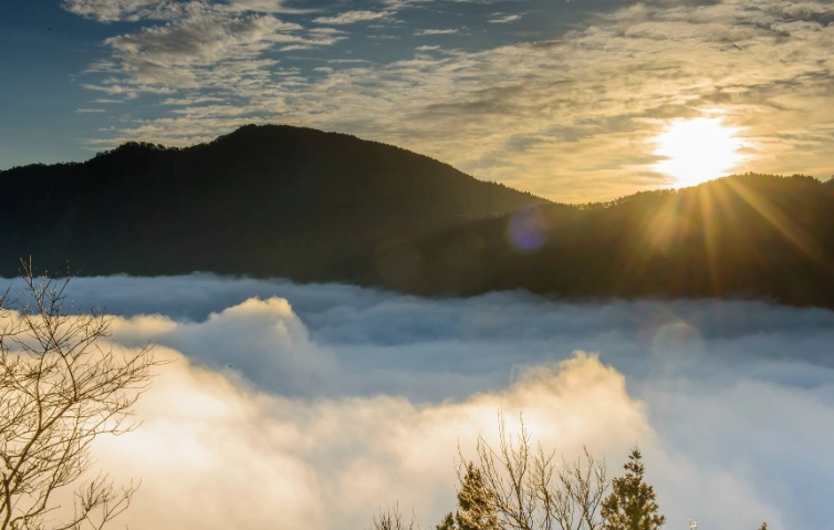 太平山國家森林遊樂區氣候 太平山國家森林遊樂區氣候