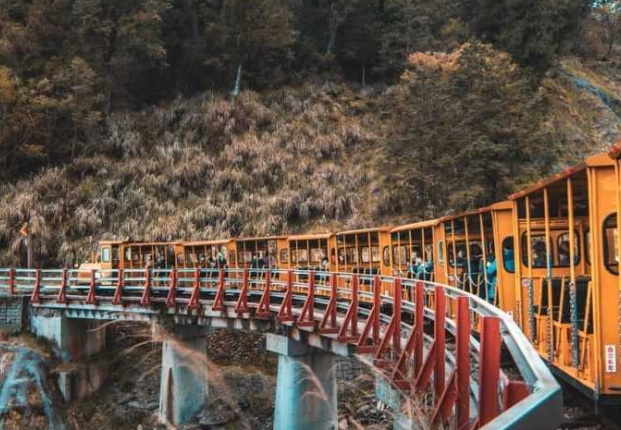 太平山國家森林遊樂區旅遊 太平山國家森林遊樂區旅遊