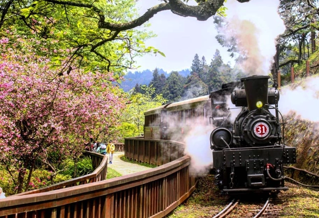 阿里山怎麼去 阿里山怎麼去