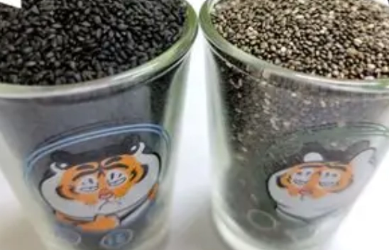 奇亞籽營養 奇亞籽營養