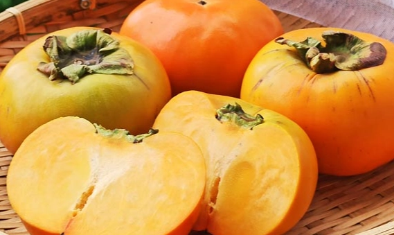 台灣柿子種類 台灣柿子種類