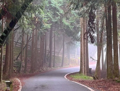 森林遊樂區攻略 森林遊樂區攻略