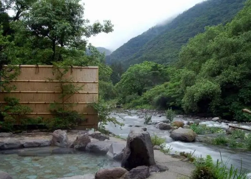櫻花溫泉住宿 櫻花溫泉住宿