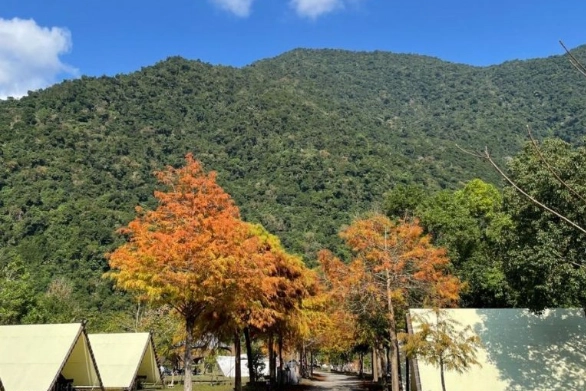 宜蘭露營 宜蘭露營