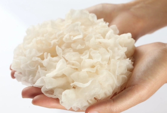 白木耳變質徵兆