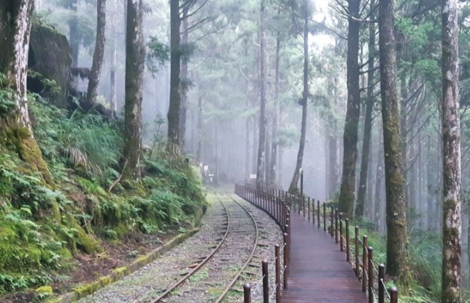太平山旅遊天氣建議 太平山旅遊天氣建議