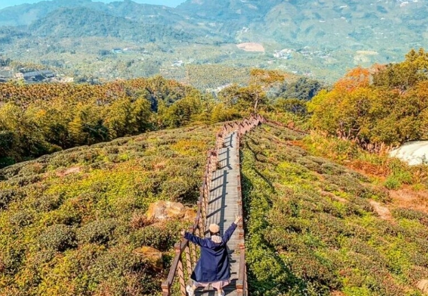 阿里山行程規劃 阿里山行程規劃