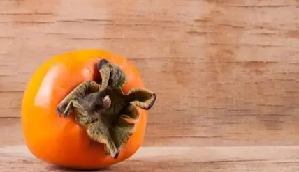 澀柿子食用技巧 澀柿子食用技巧