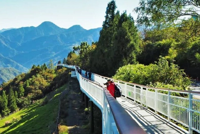 阿里山行程規劃 阿里山行程規劃