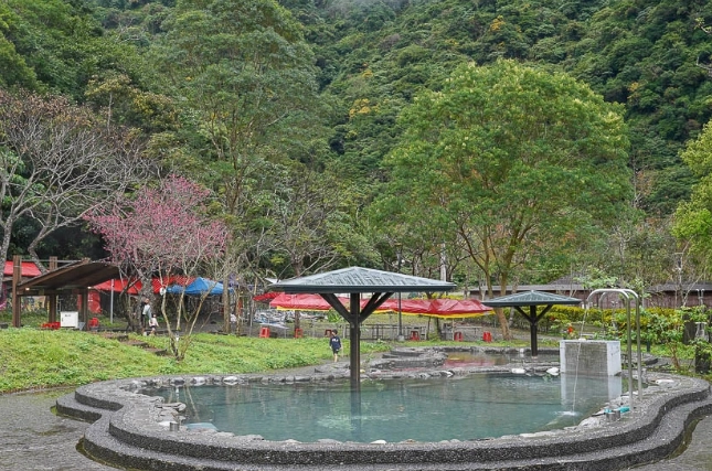 櫻花溫泉季節 櫻花溫泉季節