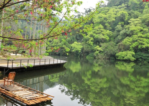 桃園慈湖行程 桃園慈湖行程