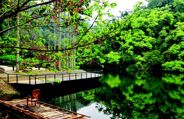 慈湖旅遊 慈湖旅遊
