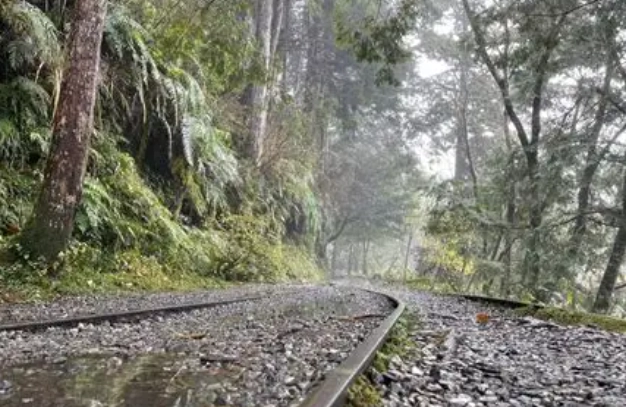 太平山自駕攻略