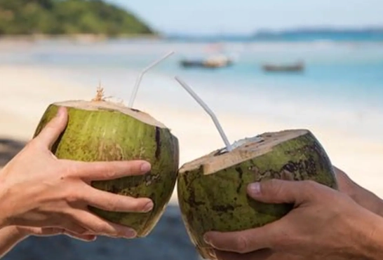 糖尿病患者喝椰子水 糖尿病患者喝椰子水