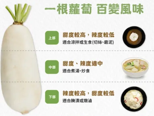 白蘿蔔副作用 白蘿蔔副作用