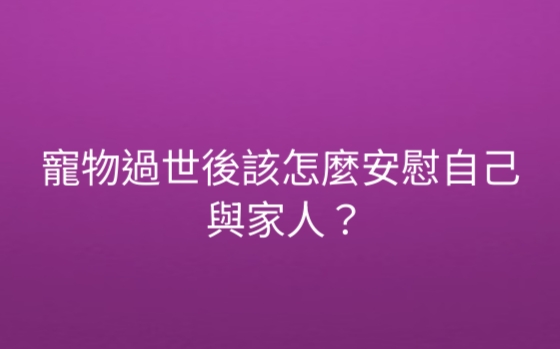 寵物過世安慰