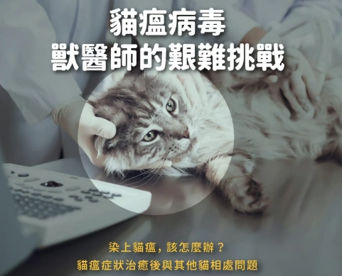 寵物安樂死過程 寵物安樂死過程