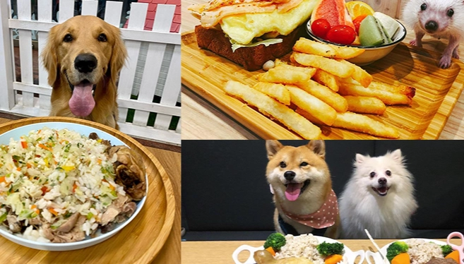 高雄帶寵物餐廳