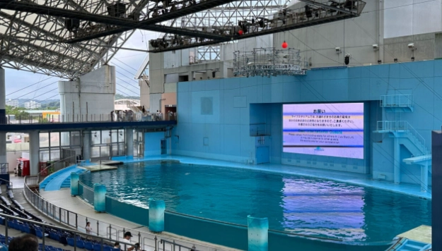 水獺互動體驗 水獺互動體驗