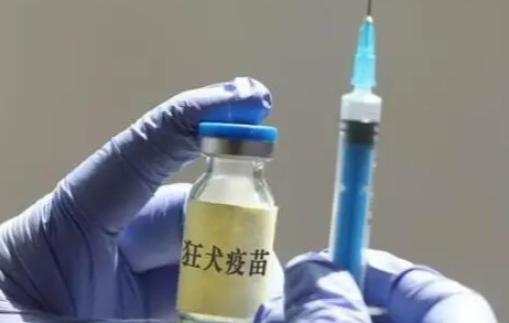 狂犬病疫苗貓咪副作用 狂犬病疫苗貓咪副作用